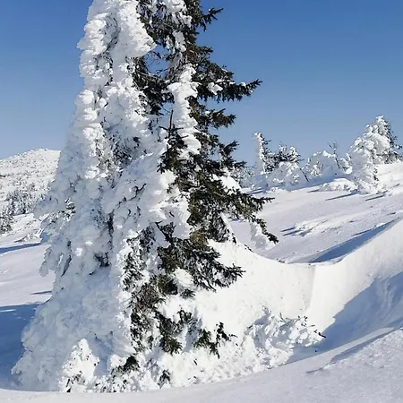 Sloneczko Alloggio in famiglia