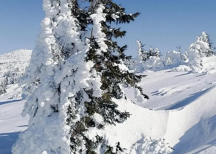 Sloneczko Privatunterkunft